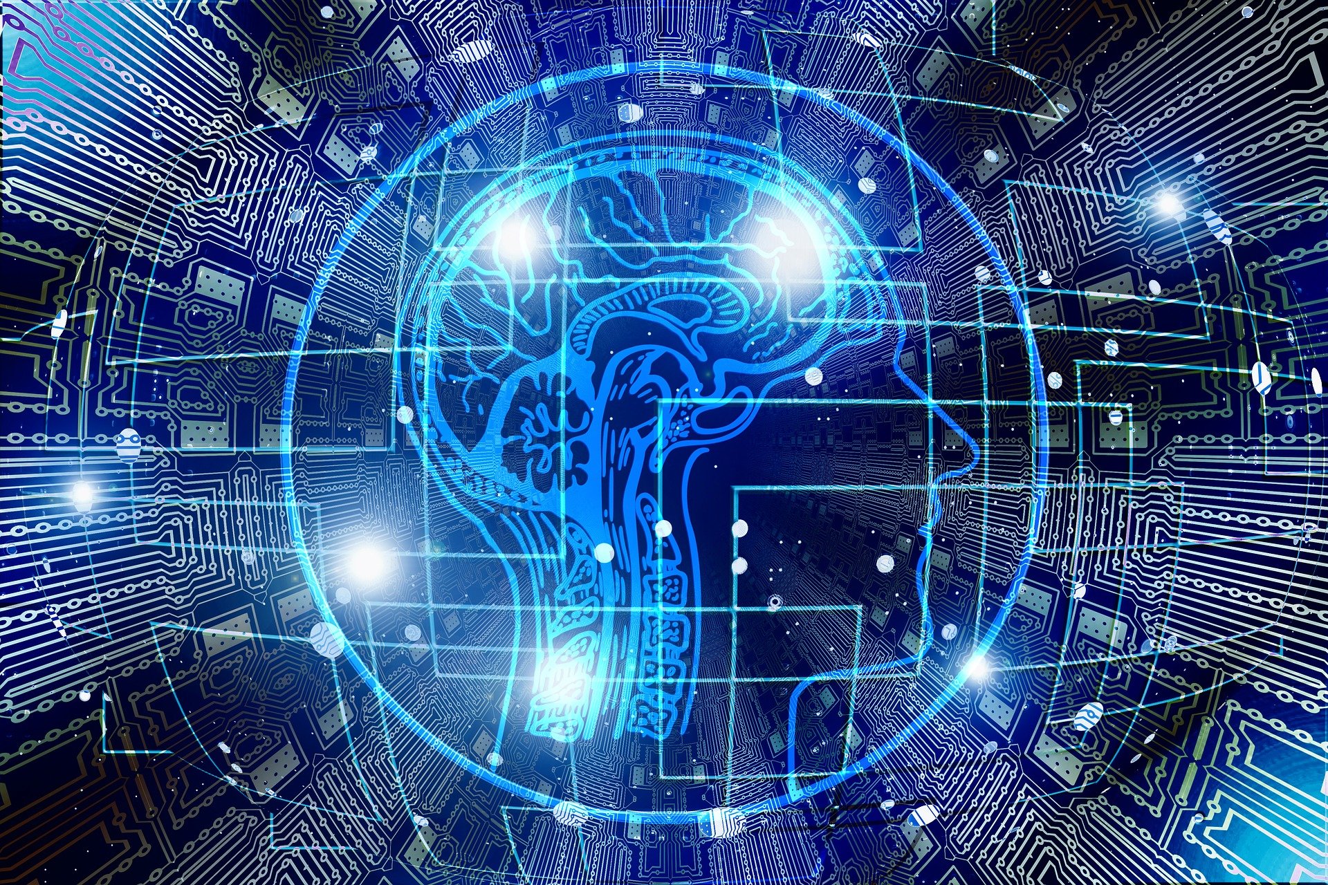 Working with the OpenAI API